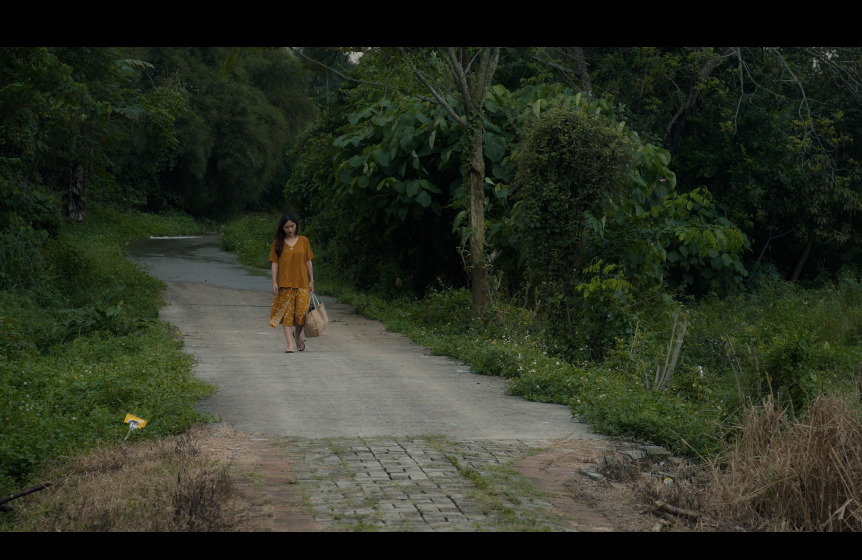 Music Video